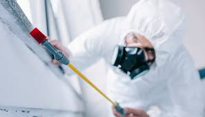 Pest Control for Hotels in Pittsburg, TX